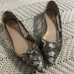M. Gemi Snake-Print Pointed Flats in Beige and Black